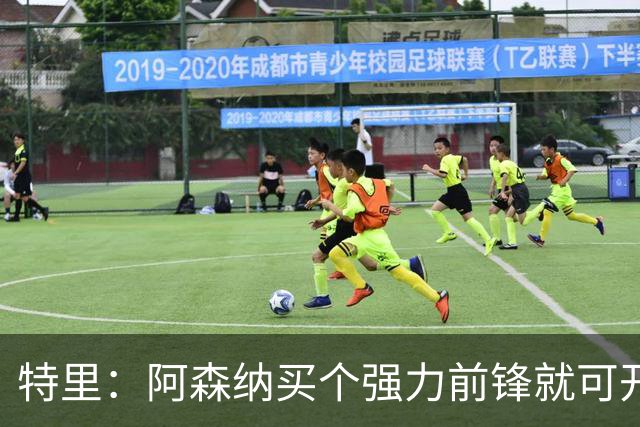 特里：阿森纳买个强力前锋就可开启英超王朝 切尔西想夺冠还早